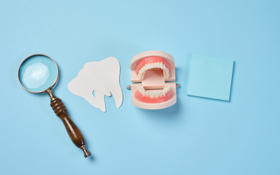 Plastic human jaw with white teeth, magnifying glass, oral cavity prevention, top view